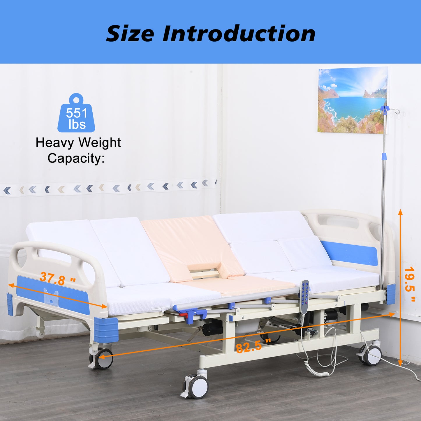 4-Function Remote Control Electric Hospital Bed (Mattress Included)